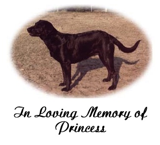 In loving Memory of Princess